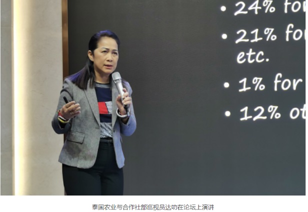 2019年甘蔗机械博览会